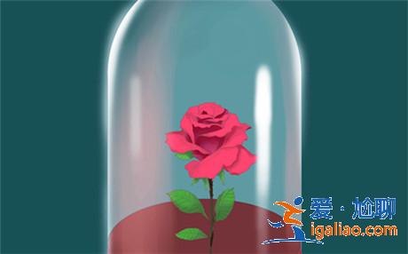 如何判斷對方是不是最佳夫婿? 如何判斷對方是不是最佳夫婿?