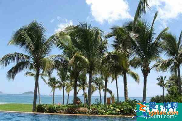 哪個城市適合過年旅游? 哪個城市適合過年旅游?