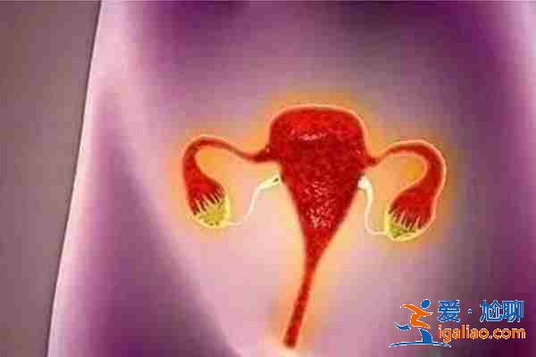 拉薩試管供卵公司？