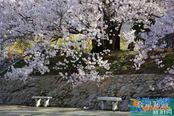 宣城賞花地推薦 附賞花地圖? 宣城賞花地推薦 附賞花地圖?
