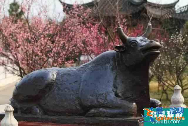 熱播網劇《河神2》,原來講的是咱江都的這些“神獸”? 熱播網劇《河神2》,原來講的是咱江都的這些“神獸”?