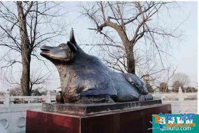 熱播網劇《河神2》,原來講的是咱江都的這些“神獸”? 熱播網劇《河神2》,原來講的是咱江都的這些“神獸”?