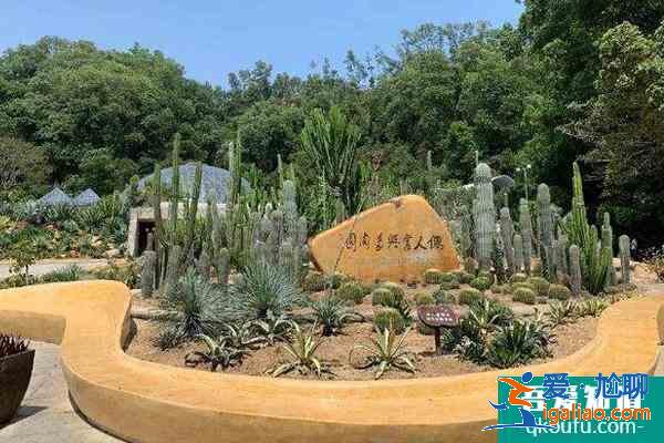 受疫情影響深圳仙湖植物園1月7? 受疫情影響深圳仙湖植物園1月7?