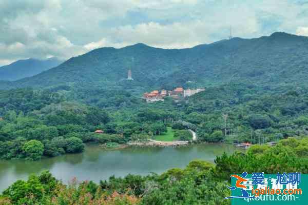 受疫情影響深圳仙湖植物園1月7? 受疫情影響深圳仙湖植物園1月7?