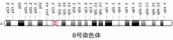 代懷小孩哪里有，會痛嗎？？