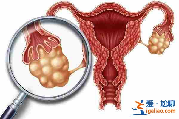 介紹武漢代生孩子價格【10天圓夢】? 介紹武漢代生孩子價格【10天圓夢】?