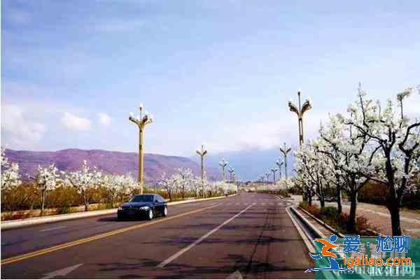 四川觀賞梨花的地方 梨花節(jié)推薦地？