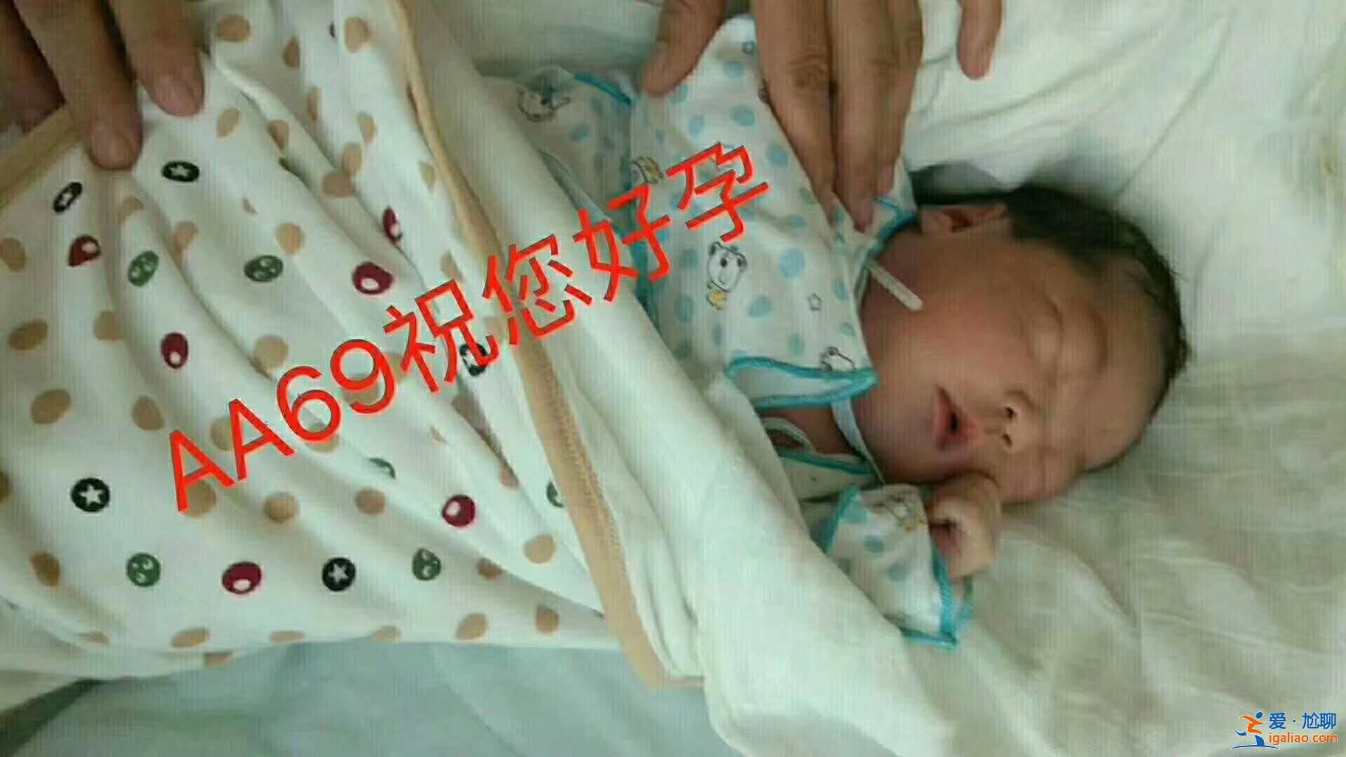 普及一下國內借卵試管[ 私密洽談 ]？