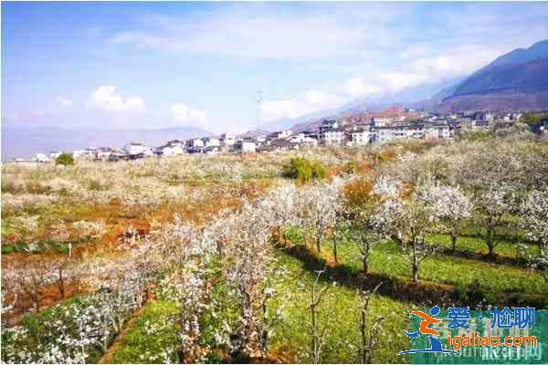 四川觀賞梨花的地方 梨花節(jié)推薦地？