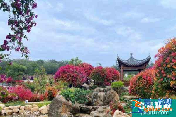 2022廣州馬嶺觀花植物園春節開放嗎？