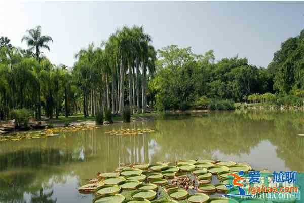 云南5a景區(qū)旅游線路 云南5a景區(qū)地圖? 云南5a景區(qū)旅游線路 云南5a景區(qū)地圖?