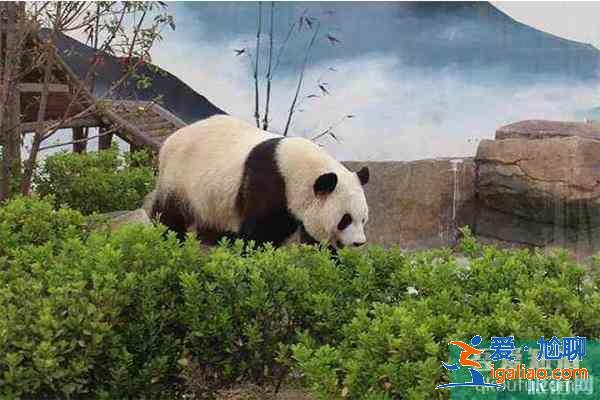 宿州十大景點(diǎn)有哪些 宿州都有哪些景點(diǎn)？