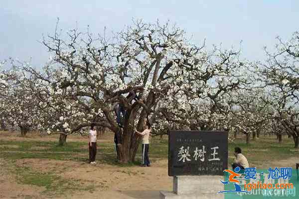 宿州十大景點(diǎn)有哪些 宿州都有哪些景點(diǎn)？