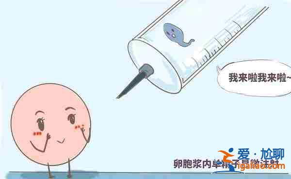 解讀一下選代媽？