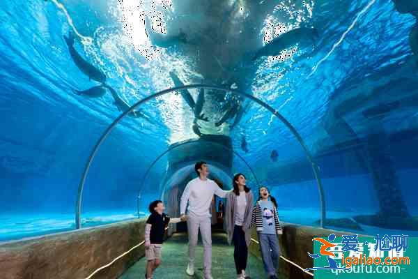 2022受疫情影響香港海洋公園暫停對外開放？