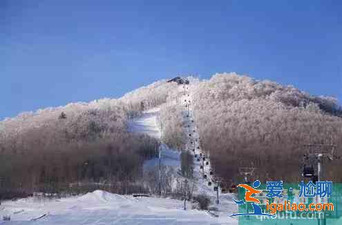 武漢市內及周邊滑雪場推薦？