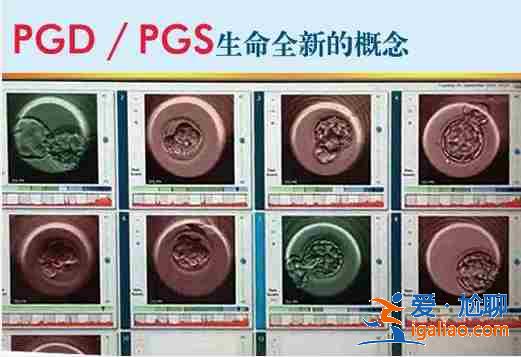 廈門代生孩子包成功,院長首薦？