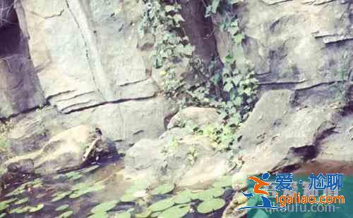 中國青年旅社排行榜 國內(nèi)有名的青年旅社？