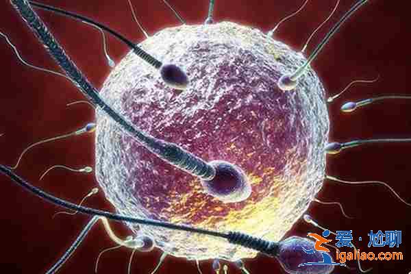 貴陽代生孩子包成功? 貴陽代生孩子包成功?