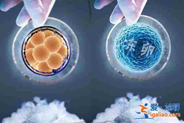 石家莊代生寶寶_上萬成功案例? 石家莊代生寶寶_上萬成功案例?