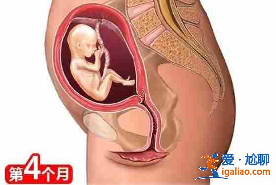 青島貴賓助孕[ 定制套餐 ]？