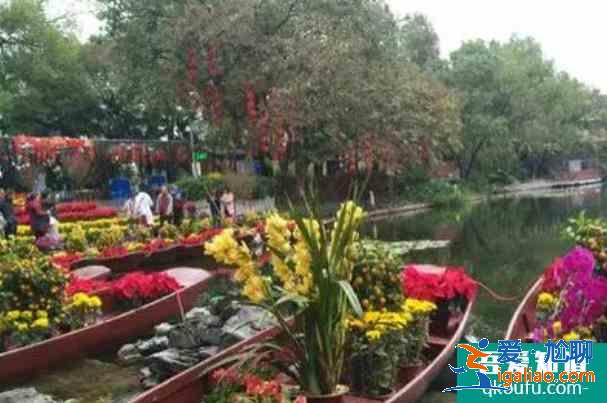 2022廣州花市什么時候開始 有哪幾個地方舉辦？