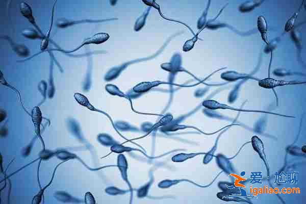 國內助孕微信群_同性試管? 國內助孕微信群_同性試管?