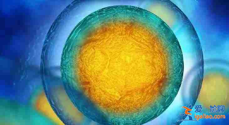 包生男孩電話? 包生男孩電話?