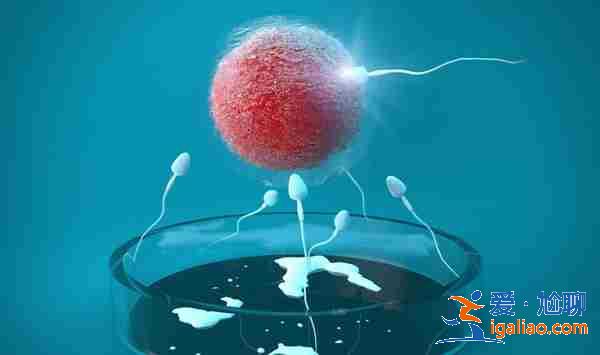 上海正規助孕公司「行業領跑」？