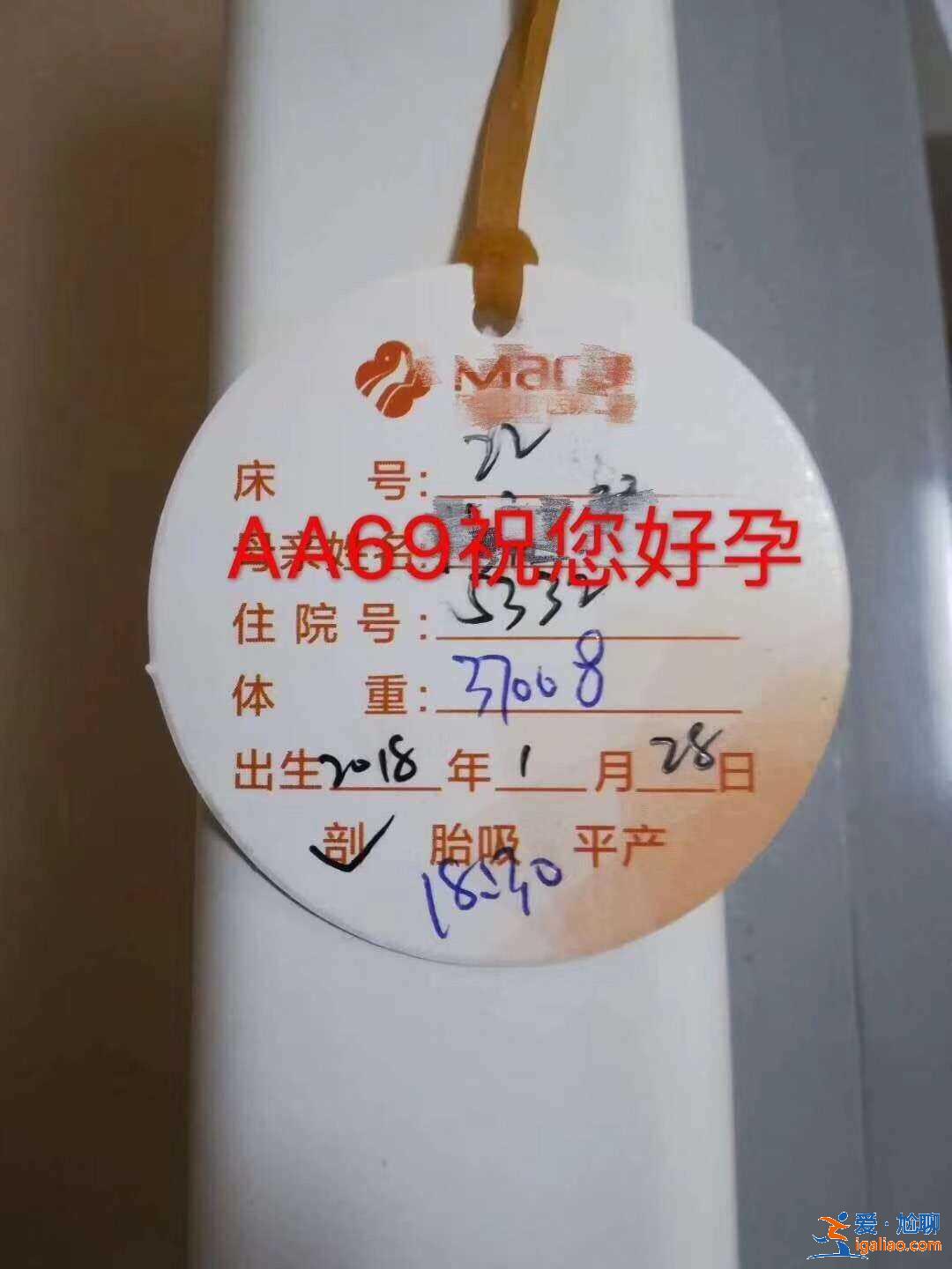 代懷生子價格，要排很久嗎？？