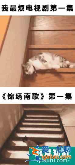 颯爽女俠、直球追愛……《錦繡南歌》里這些女性角色一個比一個有意？