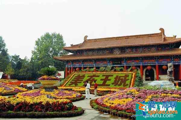 2022受疫情影響洛陽多個公園1月6日起臨時閉園？