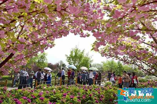 2022洛陽受疫情影響中國國花園臨時閉園？