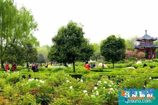 2022受疫情影響洛陽多個公園1月6日起臨時閉園？
