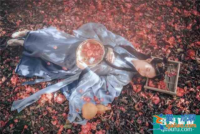 《錦繡南歌》女俠老頭的戀歌，秦昊谷嘉誠是你心中的魏晉名士嗎？？
