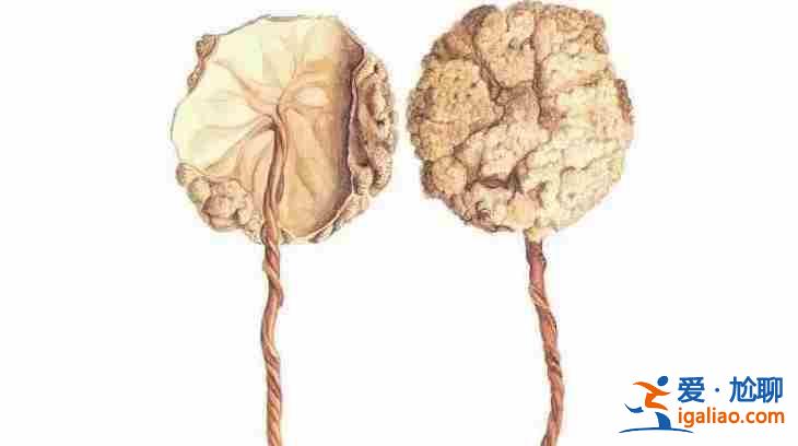 銀川三代試管包生兒子,有個(gè)屬于自己的孩子才算完整的家? 銀川三代試管包生兒子,有個(gè)屬于自己的孩子才算完整的家?