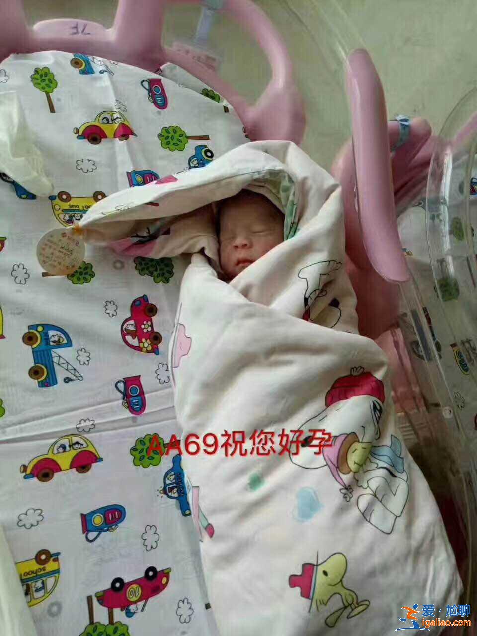 銀川助孕網,孕吐常識要早知道? 銀川助孕網,孕吐常識要早知道?