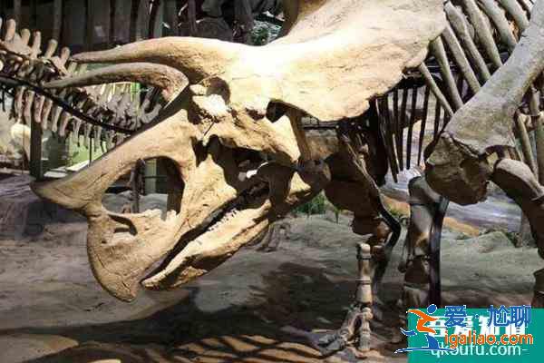 2021天津自然博物館閉館通知 天津自然博物館恢復(fù)開館時間? 2021天津自然博物館閉館通知 天津自然博物館恢復(fù)開館時間?