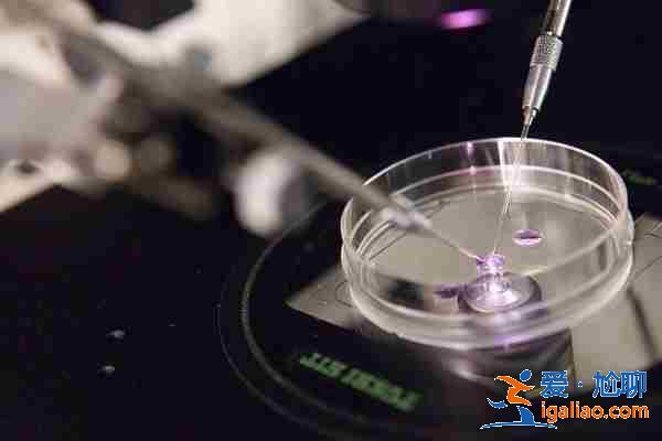 醫院多有沒有代生孩子的,國內首批助孕優質公司? 醫院多有沒有代生孩子的,國內首批助孕優質公司?