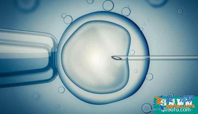 試管嬰兒IVF和人工授精IUI有什么區別和不同？