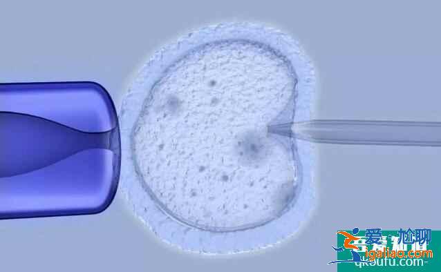 試管嬰兒IVF和人工授精IUI有什么區別和不同？