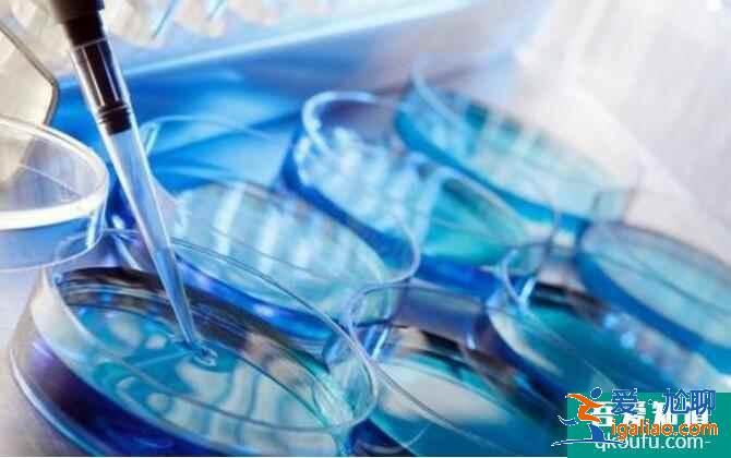 試管嬰兒IVF和人工授精IUI有什么區別和不同？