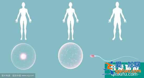 40歲做試管嬰兒有一次成功的嗎?? 40歲做試管嬰兒有一次成功的嗎??