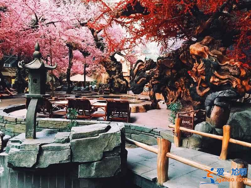 大連香洲溫泉周邊住宿,大連香洲溫泉住宿攻略? 大連香洲溫泉周邊住宿,大連香洲溫泉住宿攻略?