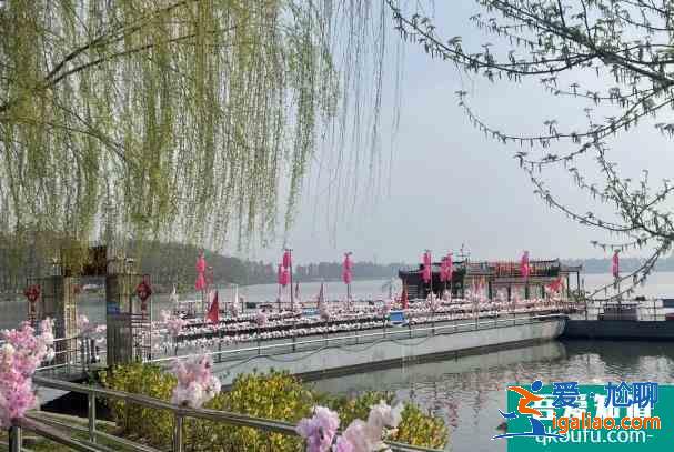 武漢東湖櫻花園2021年開放時間 賞花攻略？