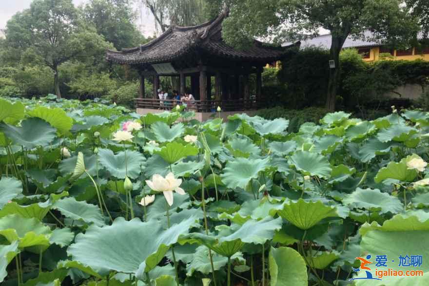 【紹興旅游】紹興免費公園大全(附:游覽線路、交通指南)? 【紹興旅游】紹興免費公園大全(附:游覽線路、交通指南)?