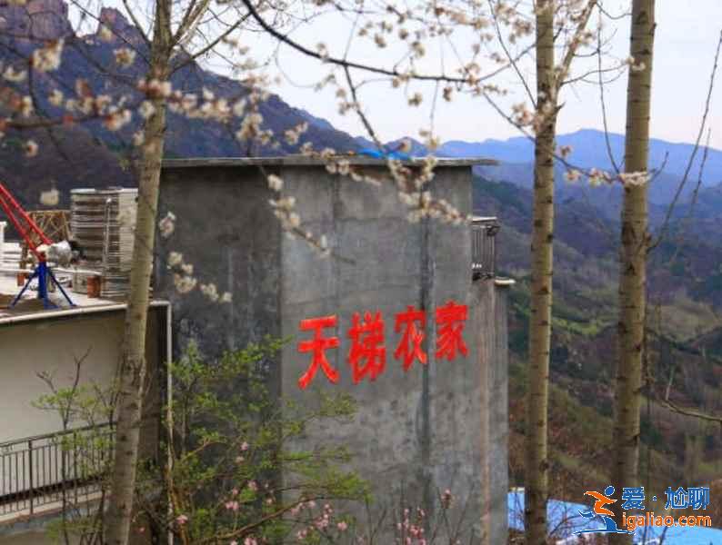 新鄉萬仙山景區住宿推薦，萬仙山住宿攻略？