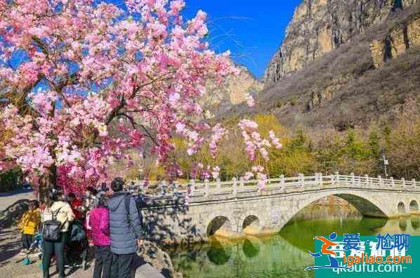 2021云臺山景區(qū)優(yōu)惠免費(fèi)門票活動？