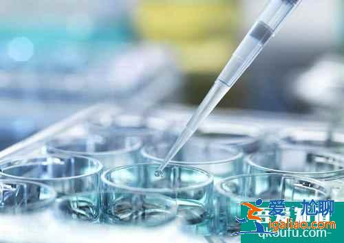 試管嬰兒促排卵期間飲食注意事項？