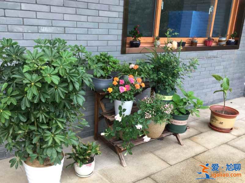 無錫比較好的民宿推薦，無錫民宿住宿攻略？